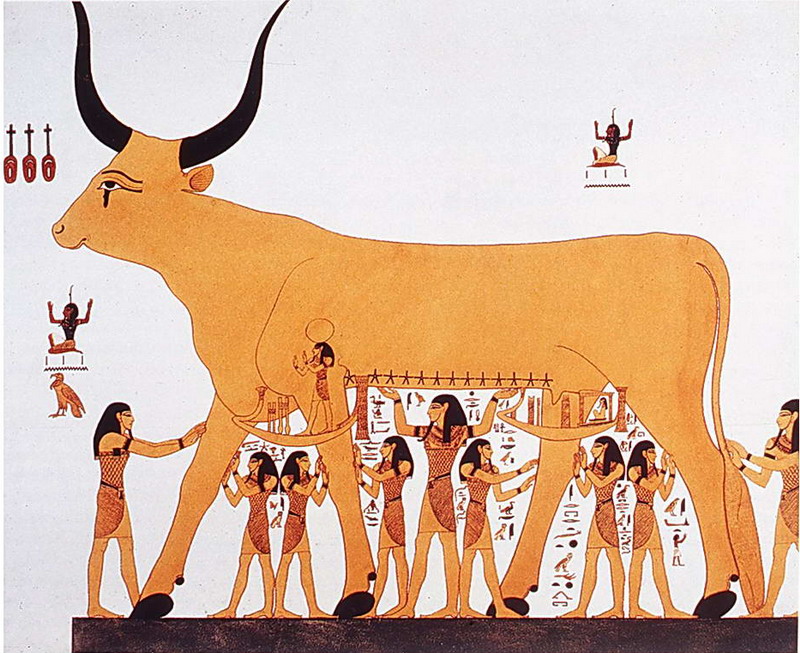 Нут — древнеегипетская богиня неба в образе коровы, ноги которой — стороны света