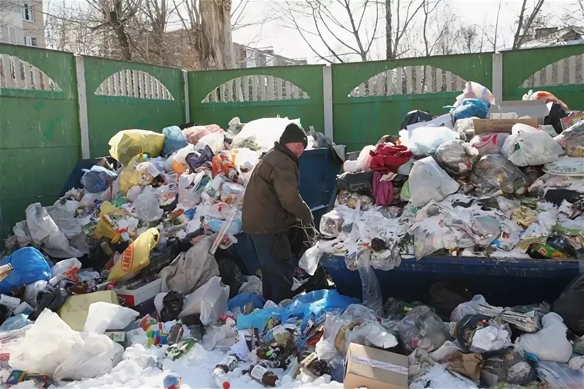 Фото бомжей возле мусорки