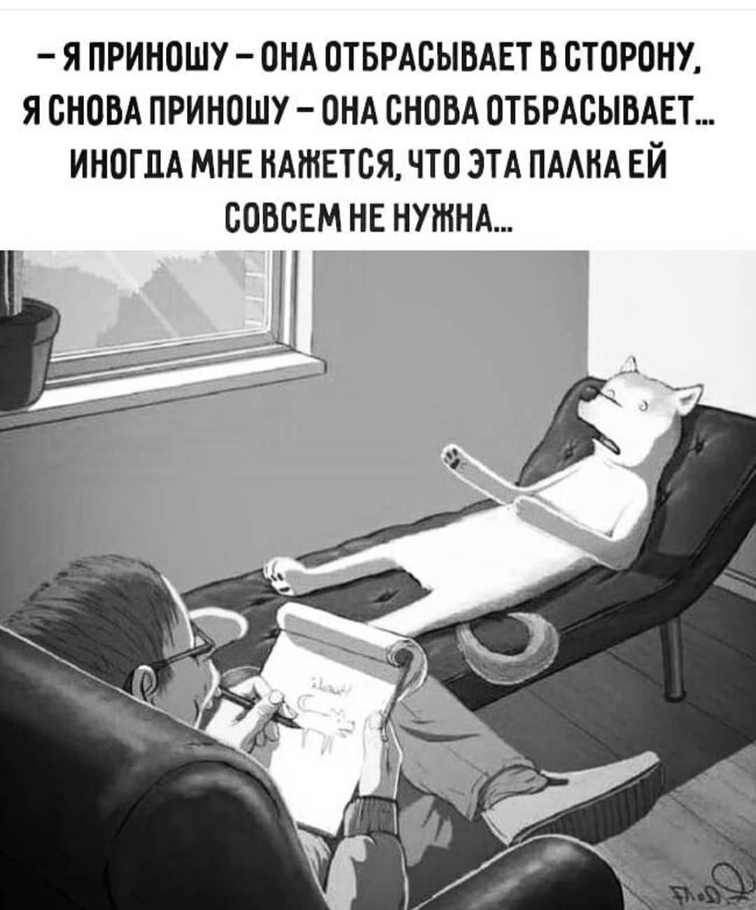 Отбросить. Собака психотерапевт. Я приношу она отбрасывает. Картинки собака у психотерапевта. Я приношу она отбрасывает в сторону.