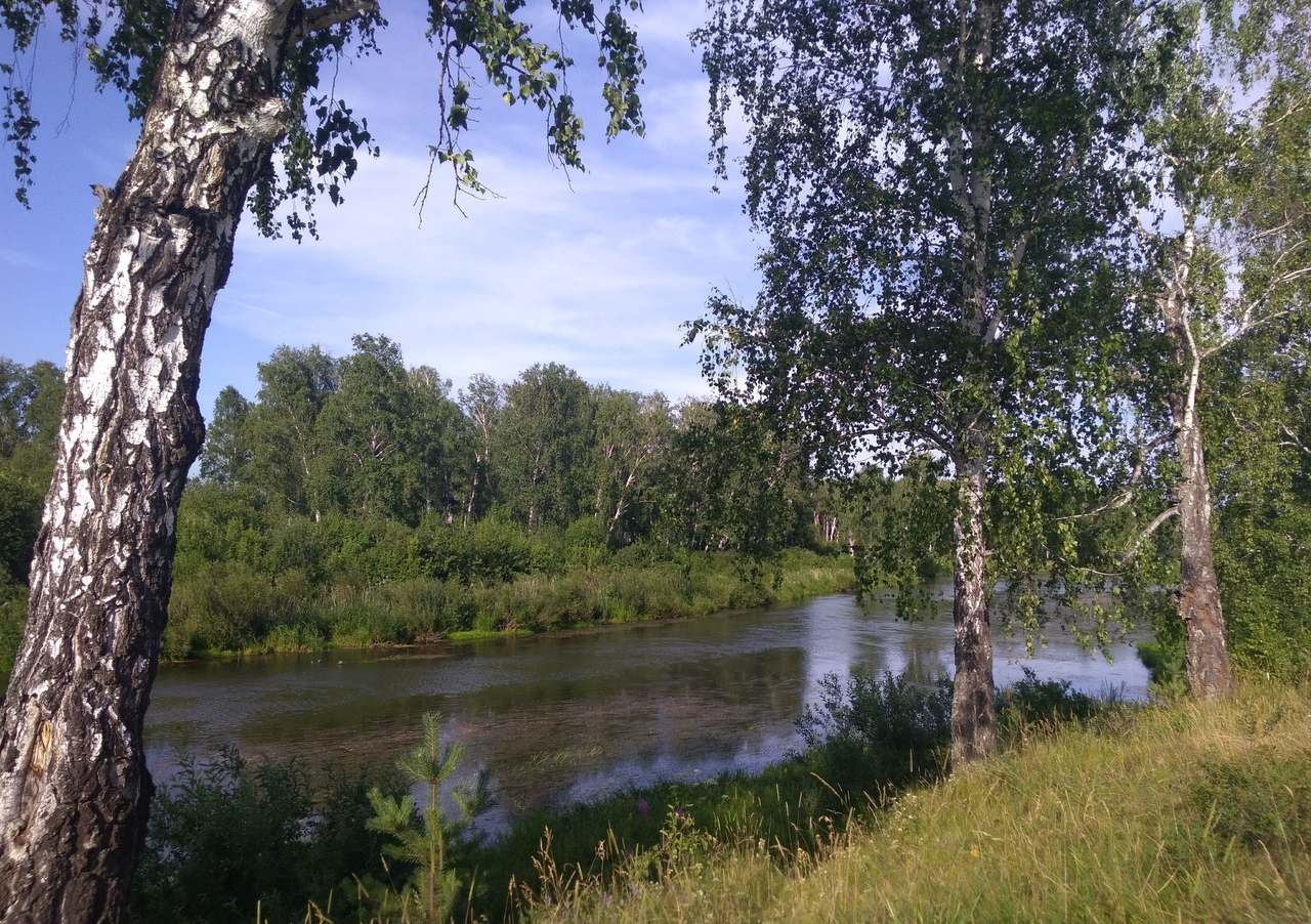 Плесецком районе. Плесецкий заказник. Плесецкий заказник Архангельской области. Плесецкий биологический заказник. Тайга Архангельская область Плесецкий район.