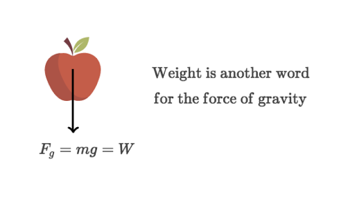 Article weight. Weight • Weight is a measure of the Force of Gravity on an object.