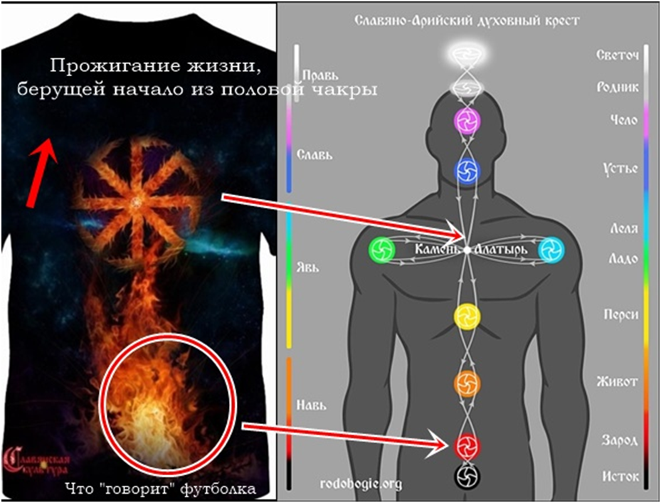 Тело старославянское. Славянская энергетическая система 9 чакр. Чакры на теле. Энергетические центры человека. Символы чакр с названиями.