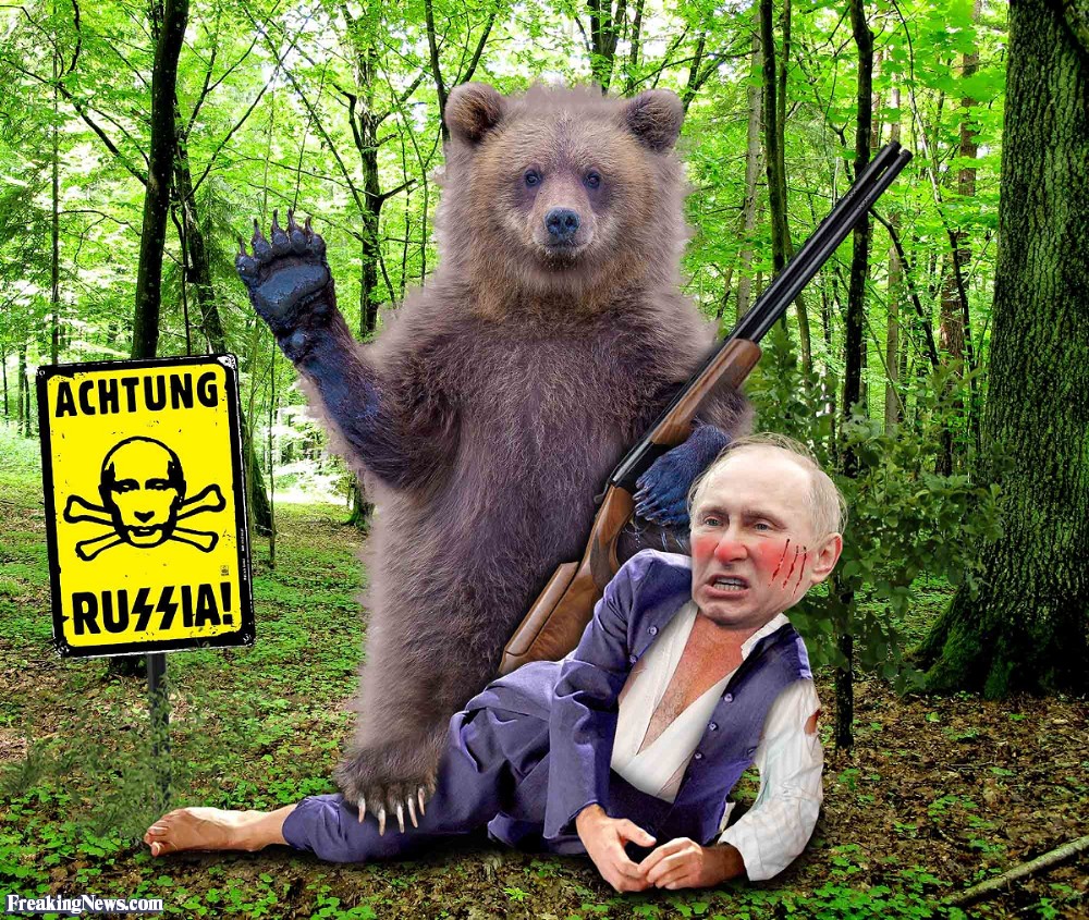 Путин сидит на медведе фото