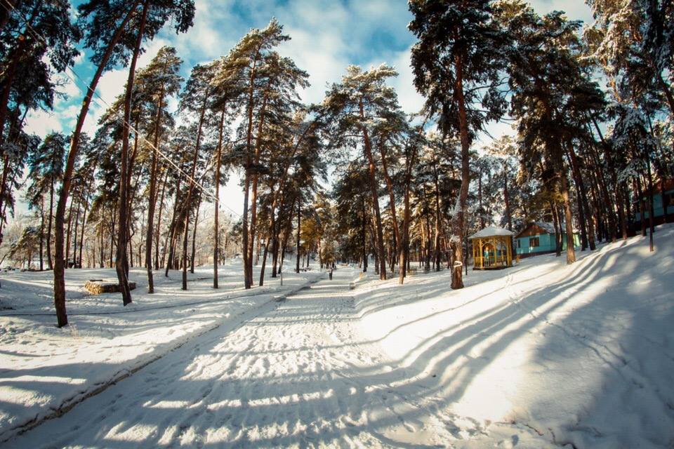 Где погулять в подмосковье зимой