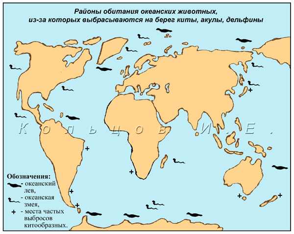 Дельфин ареал обитания. Киты ареал обитания. Карта обитания китов. Местообитание китообразных на карте.