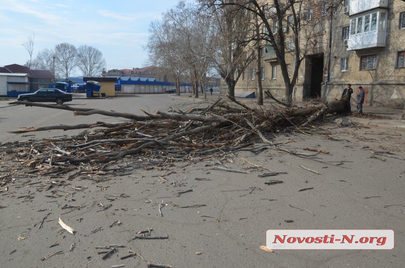 Там у тополи. Упал Тополь примета. Тополь не уронит. Падение тополей Хабаровск.