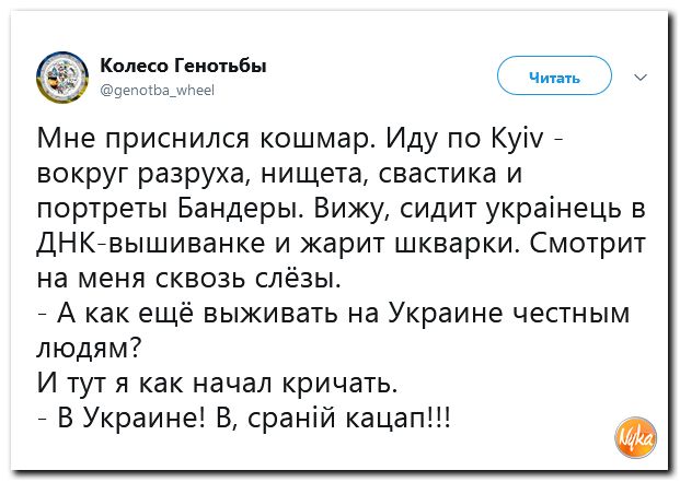 Ганьба перевод на русский с украинского. Генотьба. Генотьба колесо. Колесо генотьбы Твиттер. Колесо генотьбы Мем.