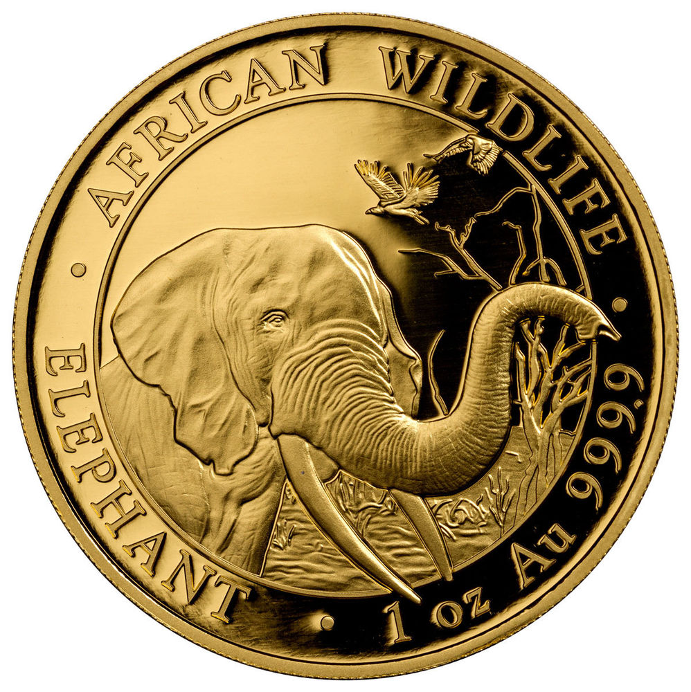 Клуб инвестиционные монеты. Монеты со слонами. Канадские инвестиционные монеты. Монета со слоном. Монета со слоном 5.