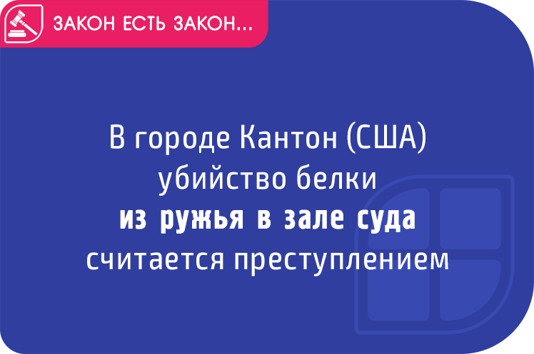 Странные законы в сша. Законы Америки смешные. Глупые законы США. Странные законы США.