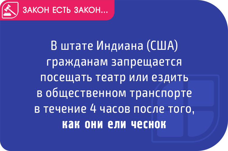 Странные законы в сша. Смешные законы. Смешные законы США. Тупые законы США.