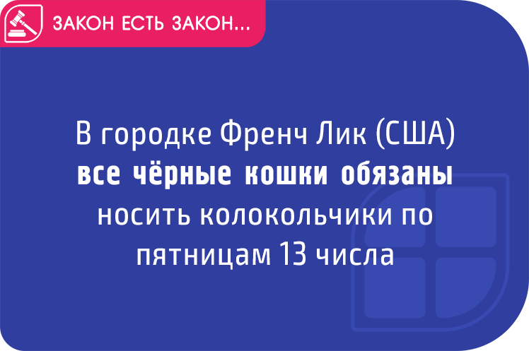 Смешные законы 5 букв сканворд. Странные законы в разных странах. Законы Америки смешные. Самые нелепые законы. Странные законы США.