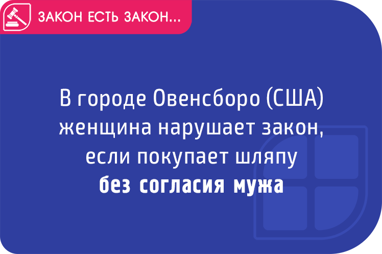 Законы америки. Странные законы США. Самые странные законы США. Смешные законы США. Абсурдные законы в США.