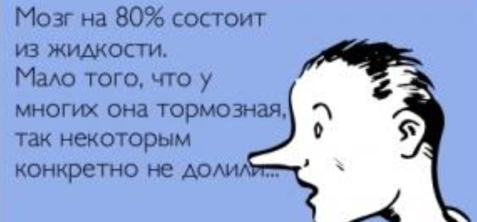 Знакомая работает. Без мозгов прикол. Человек без мозгов прикол. Отсутствие мозга прикол. Смешные цитаты про отсутствие мозга.