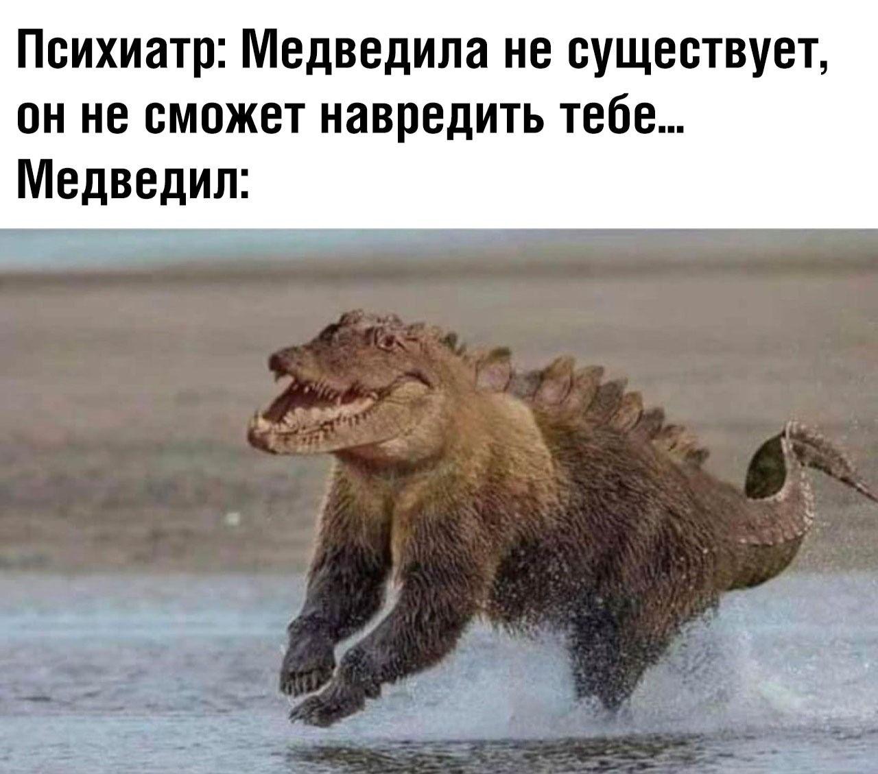 Animal memes. Австралия приколы. Животные Австралии Мем. Мемы про животных в Австралии. Австралиец прикол.