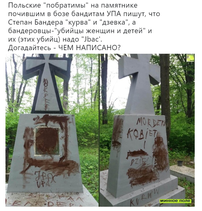 Польский побратим курска 4 буквы