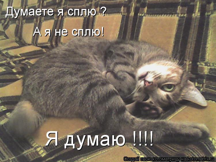 Картинки с надписью ну и спи, открытки английский