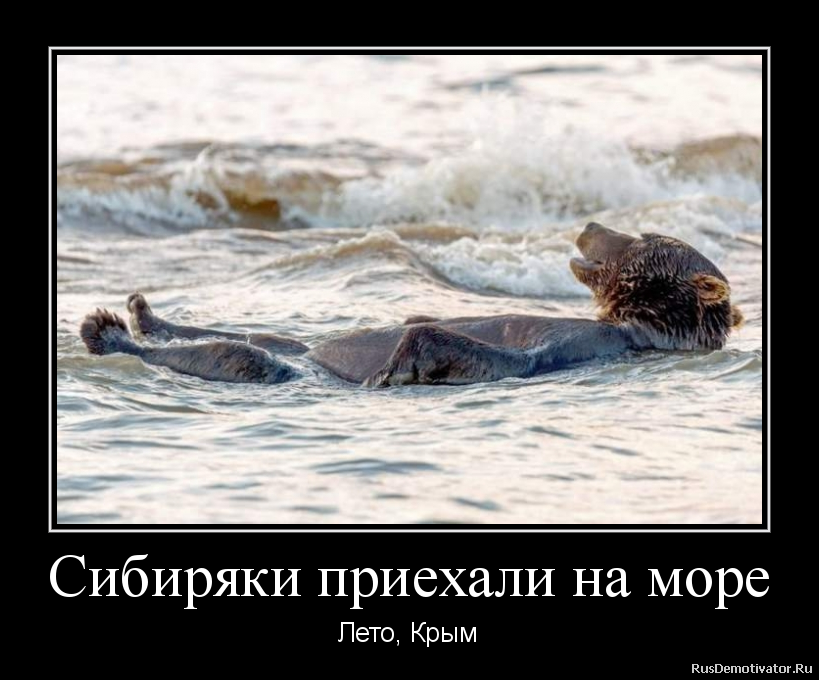 Песня приезжайте на моря. Приехали на море. Море я приехала. Приезжай на море. Это я когда приеду на море.