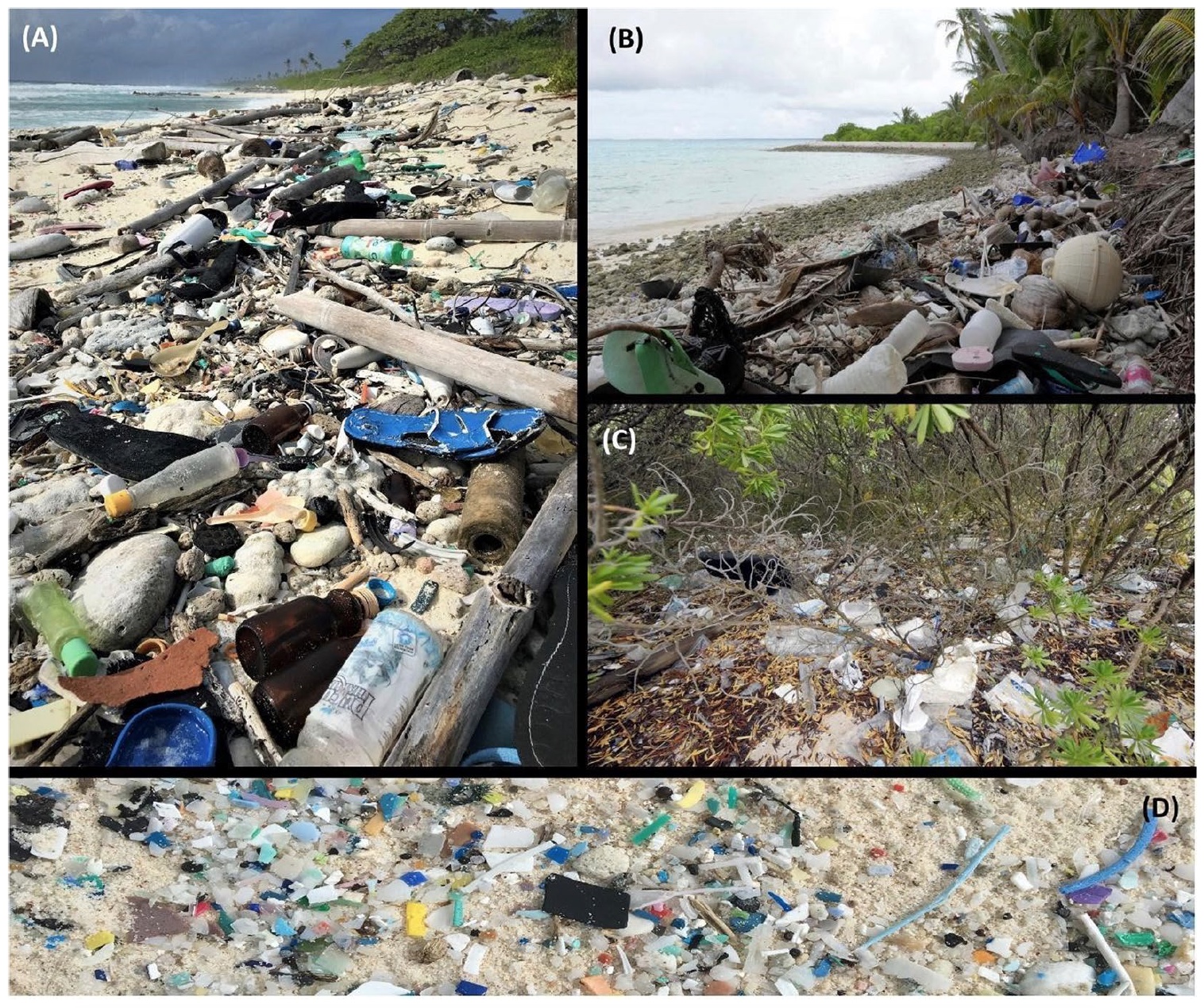 Экологические проблемы глобальная катастрофа. Загрязнение мирового океана мусорные острова. Загрязнение воды мусорные острова.