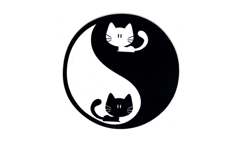 Черный кот распечатать. Наклейки черные коты. Наклейки черно белые кошки. Наклейки кошечки черно белые. Наклейки котики черно белые.
