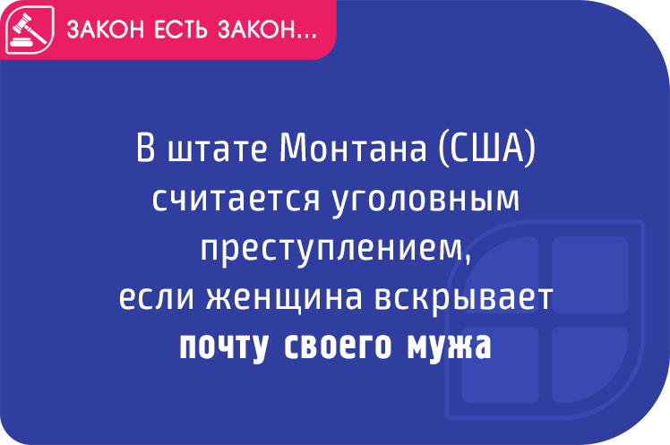 Законопроекты штатов. Смешные законы США. Глупые законы США. Странные законы США. Дурацкие законы США по Штатам.