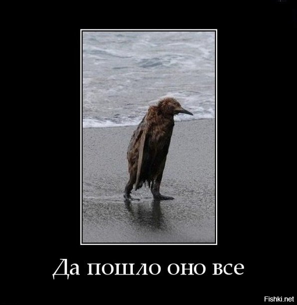 Для, картинки с надписями да пошло оно все