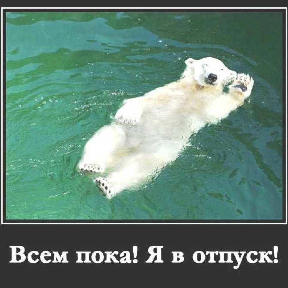 Я в отпуске не скучайте картинки прикольные
