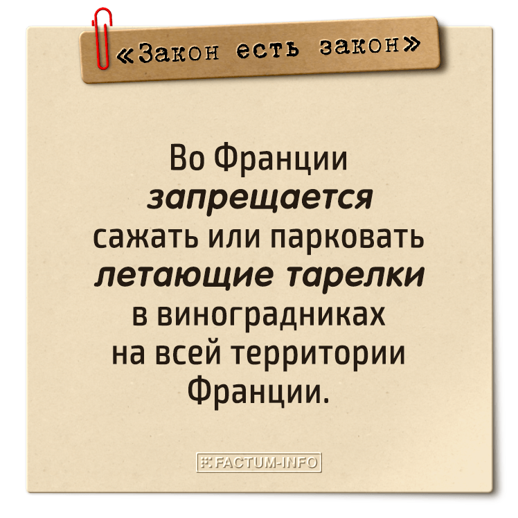 Есть другие законы. Интересные законы. Нелепые законы в разных странах. Веселые законы. Глупые законы мира.