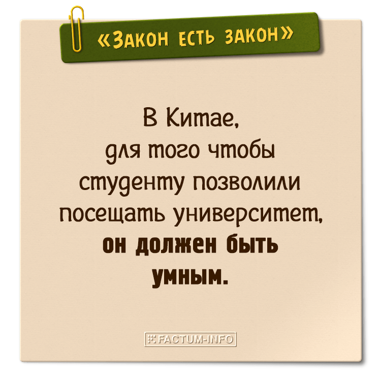 Нестандартные законы. Интересные законы. Самые странные законы. Странные законы в разных странах. Интересные законы в разных странах.