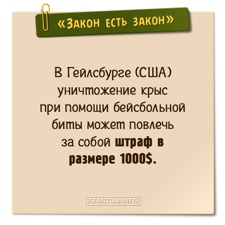 Смешные законы сша презентация