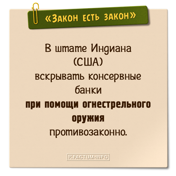 Самые смешные законы мира. Смешные законы других стран. Глупые законы мира. Самые нелепые законы.