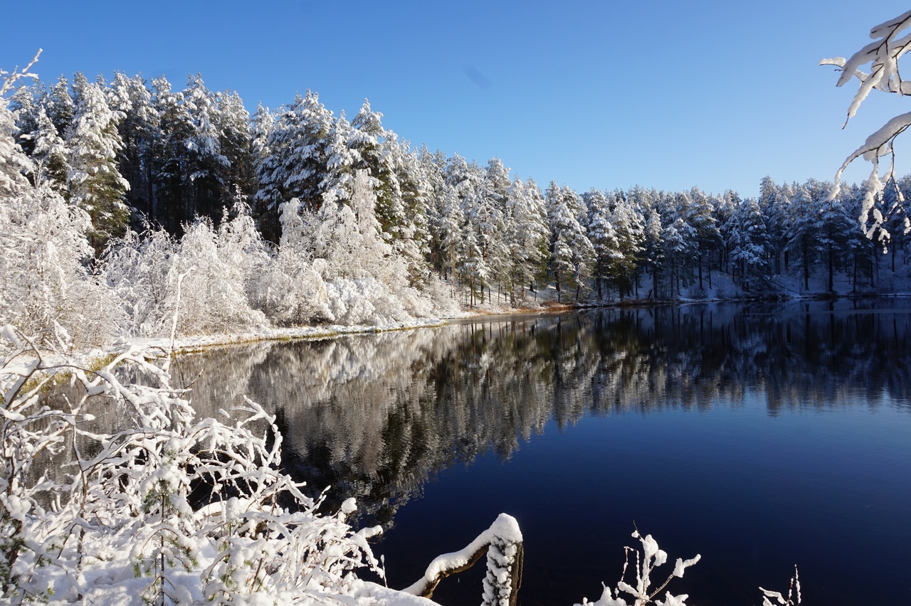 Зима в карелии. Урозеро Карелия зимой. Сортавала Карелия зимой. Север Карелии зимой. Озеро клюквенное Карелия зима.