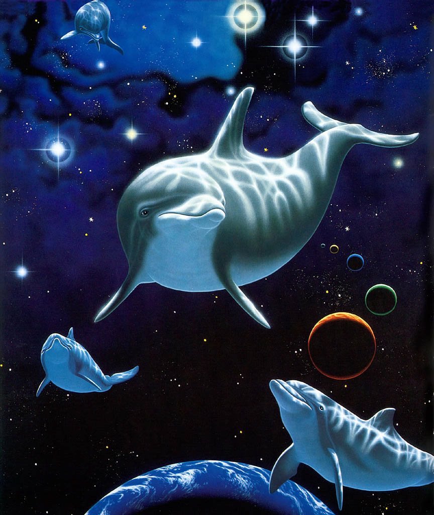Space animals. Уильям Шиммель. Вильям Шиммель художник. Дельфины. Обитатели космоса.