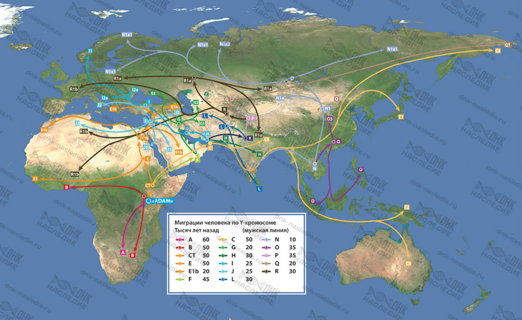 Расселение гаплогрупп в мире карта