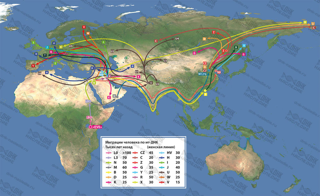 Расселение гаплогрупп в мире карта