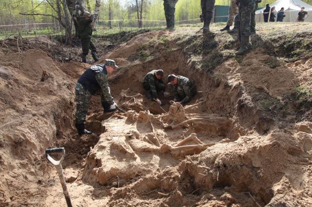 Место массового захоронения мирных граждан в районе деревни Жестяная Горка Батецкого района Новгородской области Image