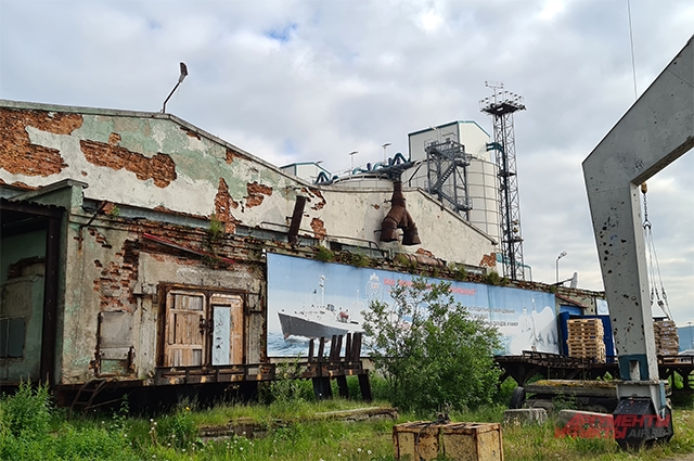 Рыбное место. Почему до наших столов не доплывают дешёвые треска и сёмга?