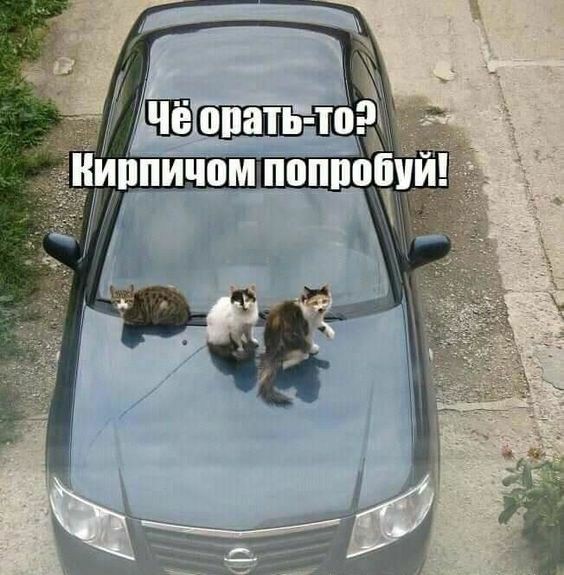 IMG-1eb152065dc4d48978fc804f3af54975-V.j