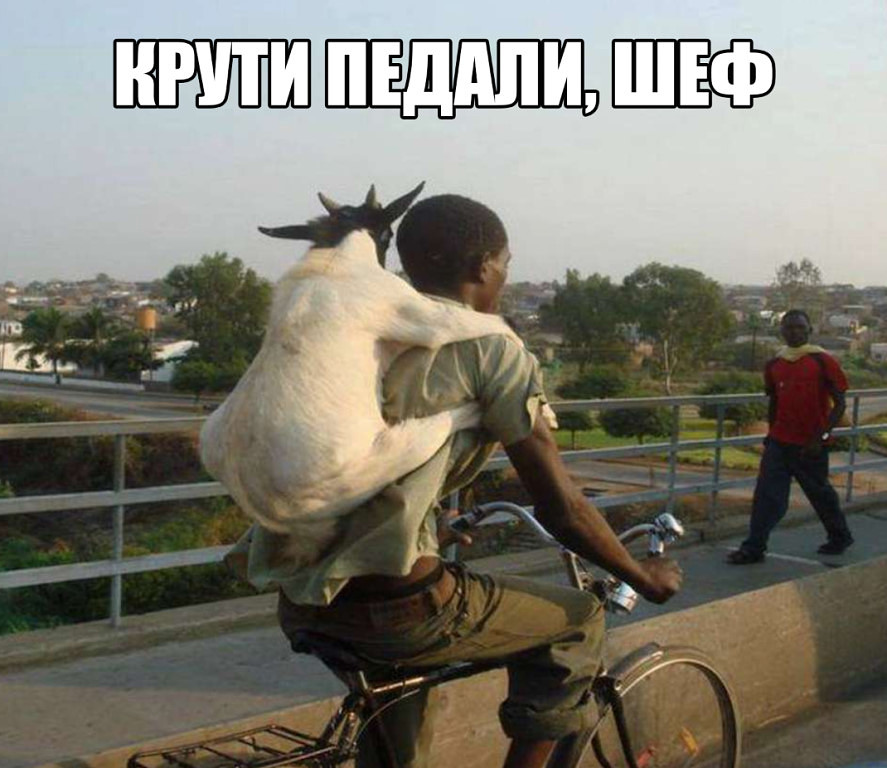 Весёлые картинки #24 - Vasya Petrov — КОНТ
