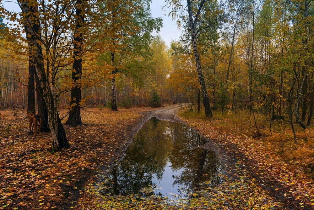 Красоты России (#468)