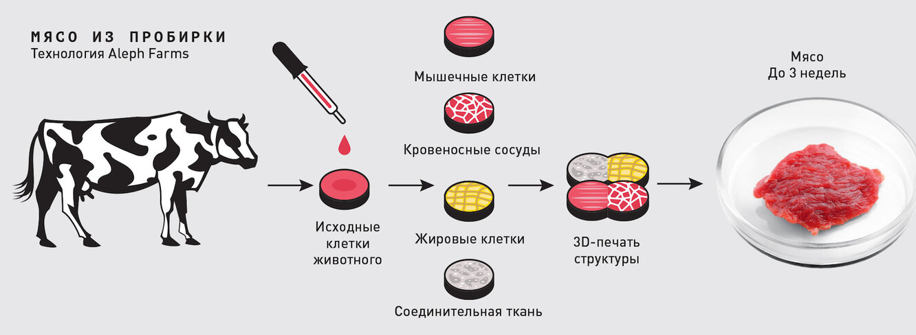 Выращенное мясо. Искусственное мясо из пробирки. Искусственное выращивание мяса.