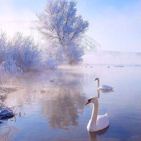 ПОЗИТИВ