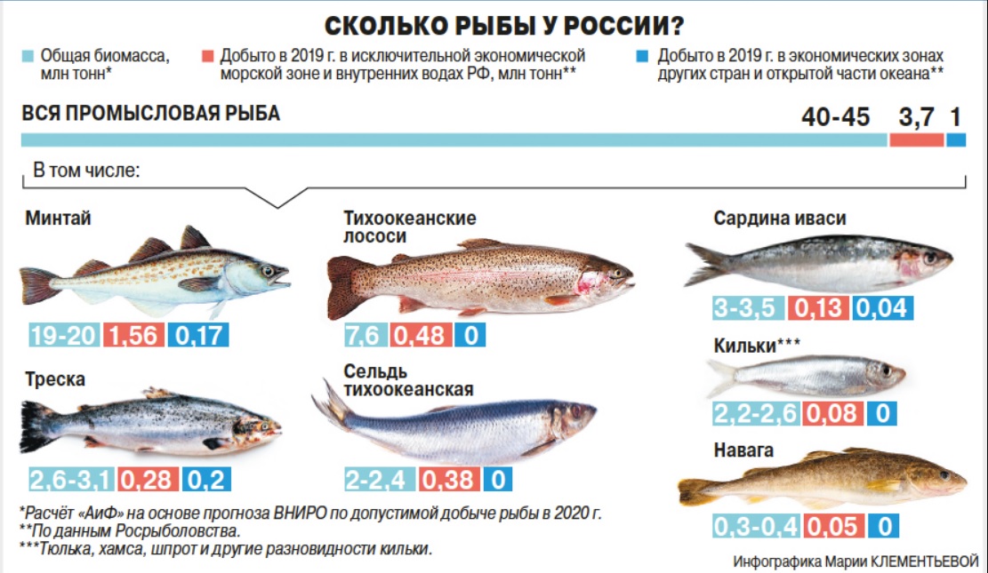 Почему численность промысловых рыб