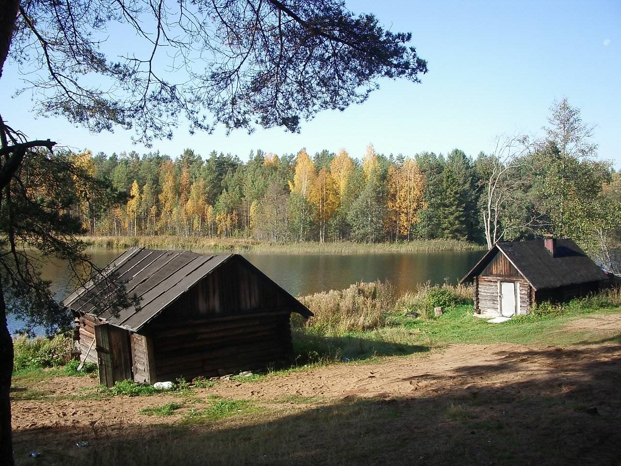 Деревня долгие бороды Новгородская область Валдайского района