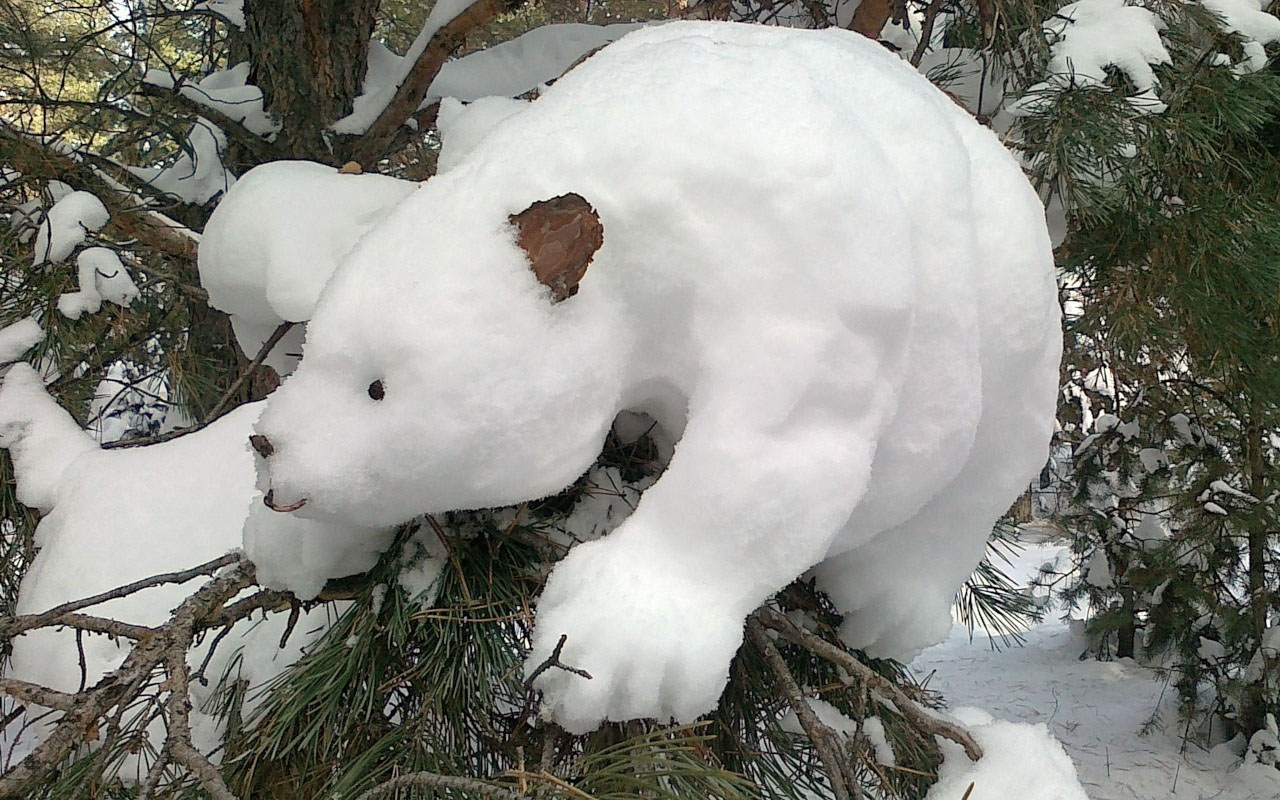 Белое чудо природы. Фигуры животных из снега. Фигуры из снега звери. Фигуры из снега медведь. Чудеса природы животные.