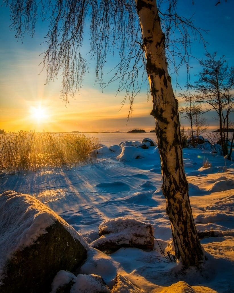 Прекрасного февральского дня картинки. Зимнее утро. Февральский пейзаж. Солнечный зимний день. Зимний Солнечный пейзаж.