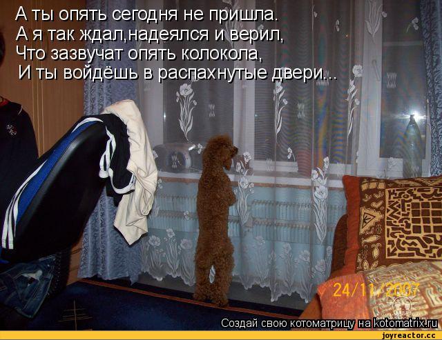 А Ты Опять Сегодня Не Пришла Картинки Прикольные
