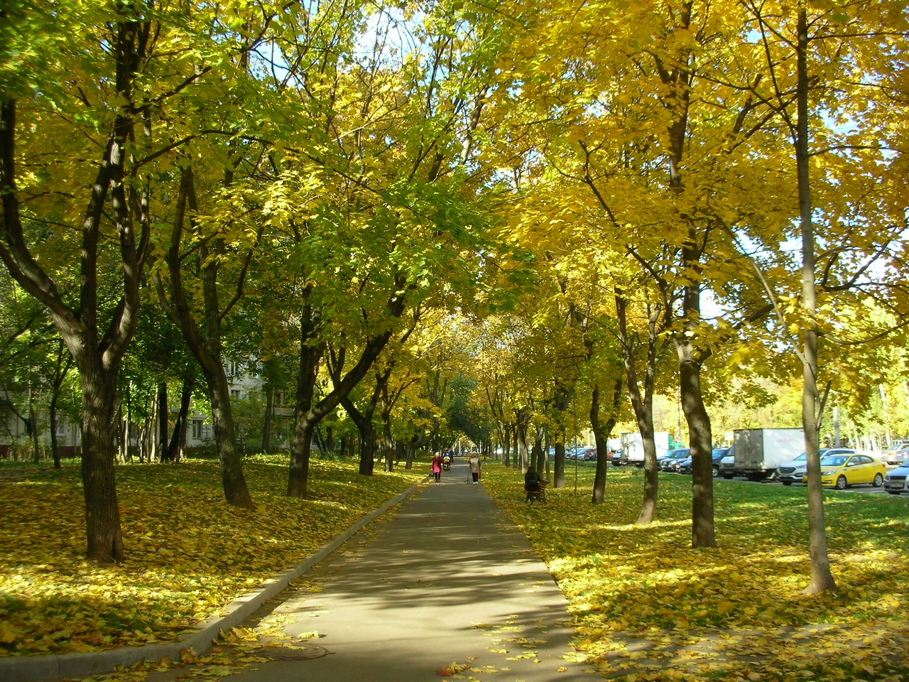 Осенний бульвар в москве