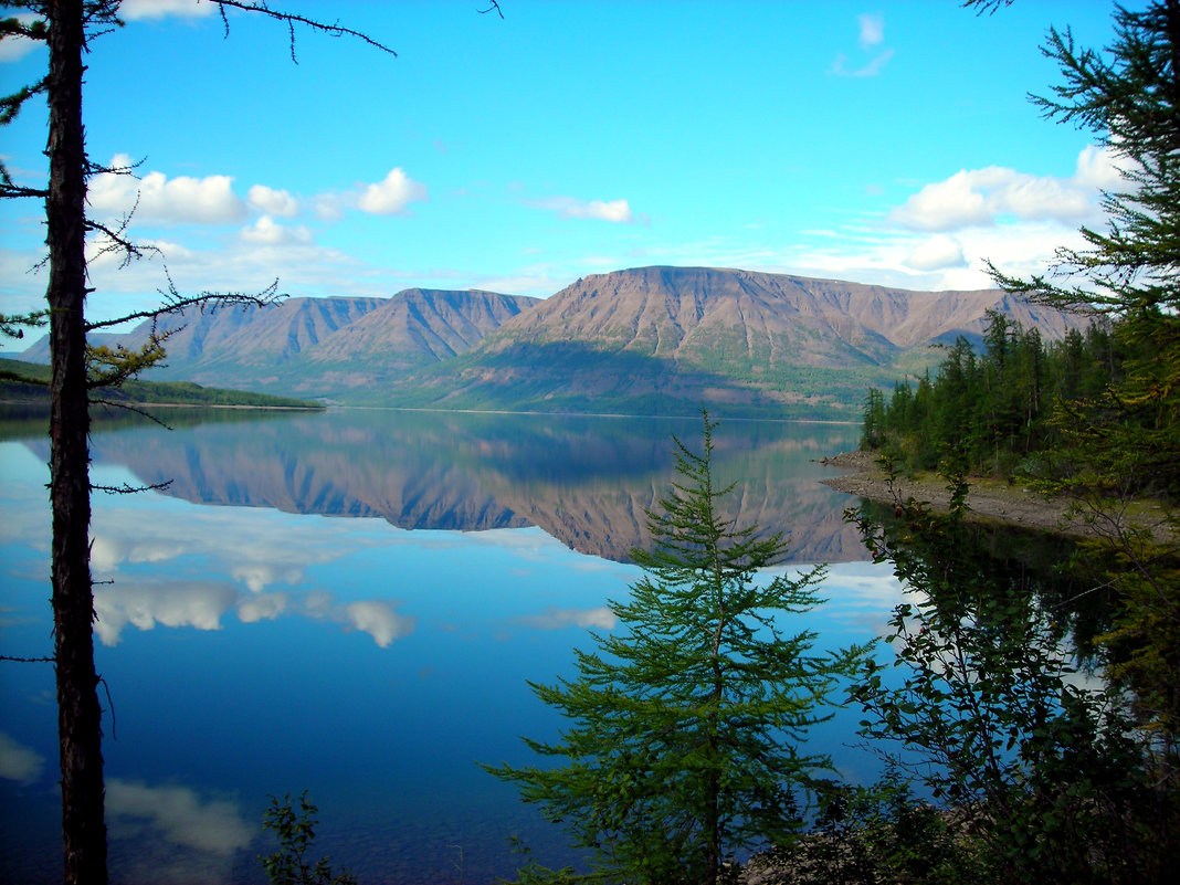 Таймыр плато Путорана