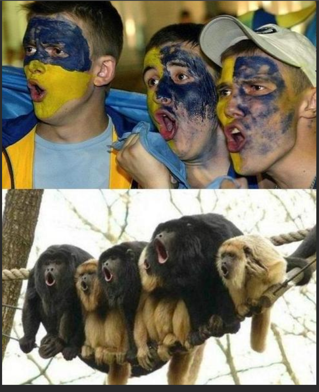 Украинцы смешно. Хохлы обезьяны. Смешные украинцы. Украинцы обезьяны.