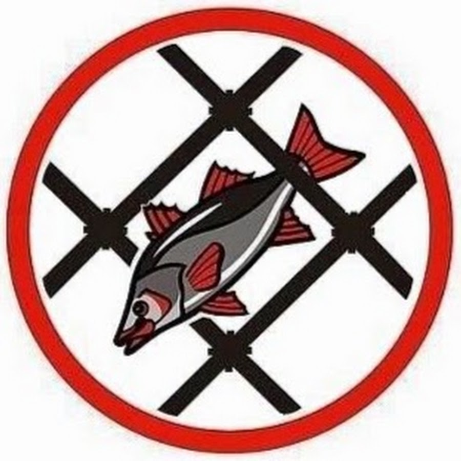 Почему нельзя ловить рыбу. Знак браконьерство запрещено. Ловля рыбы запрещена. Против браконьерства. Не ловить рыбу сетями знак.